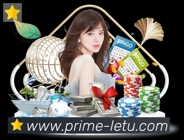 未来规划